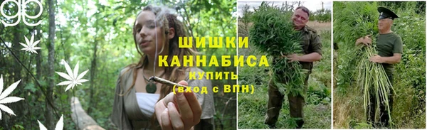 каннабис Покачи