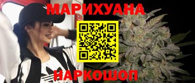 спиды Гатчина