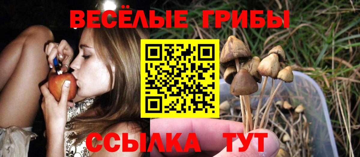 Псилоцибиновые грибы ЛСД Ижевск
