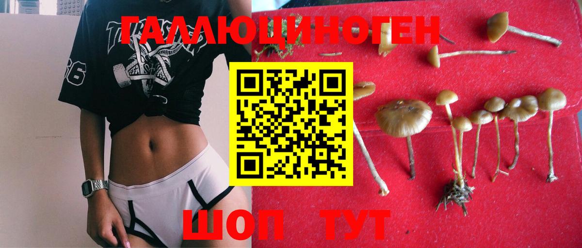 Ижевск  Псилоцибиновые грибы Cubensis  Псилоцибиновые грибы Psilocybine cubensis  Вход с VPN 